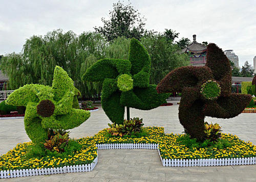 陝西泡（pào）沫綠雕